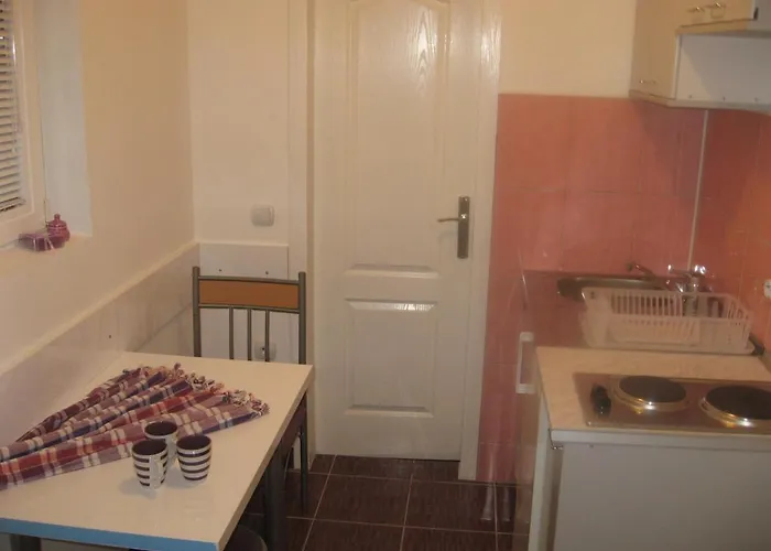 アパート Markovic ソコバニャ