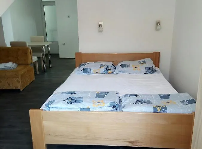 アパート Markovic ソコバニャ